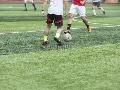 日直播,成都乒联混,合团体世界,MK体育平台,MK体育官方网站,MK体育登录入口,MK体育app下载