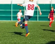 CRRA,农用地土壤,重金属污染,MK体育平台,MK体育官方网站,MK体育登录入口,MK体育app下载