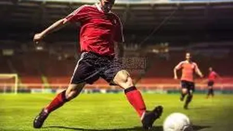 网友悲悼宠物狗托运不幸离世，陈乔恩深情发文力挺