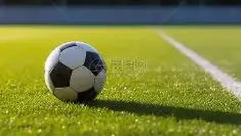 MK体育 产品 134701 o1x