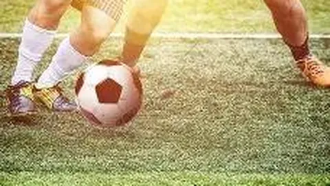 MK体育 产品 134830 fag