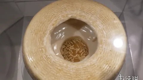 “中国女将破纪录，宁忠岩领跑亚冬会速度滑冰赛场——2025年2月8日亚冬会焦点”