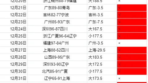 巴西球星塞尔吉尼奥入籍中国，国足阵容拼图圆满收官。